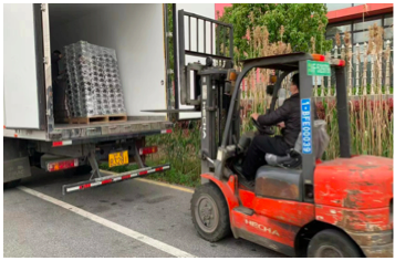 上海金山创新服务模式，破解物流装卸难题为中小外贸企业纾困